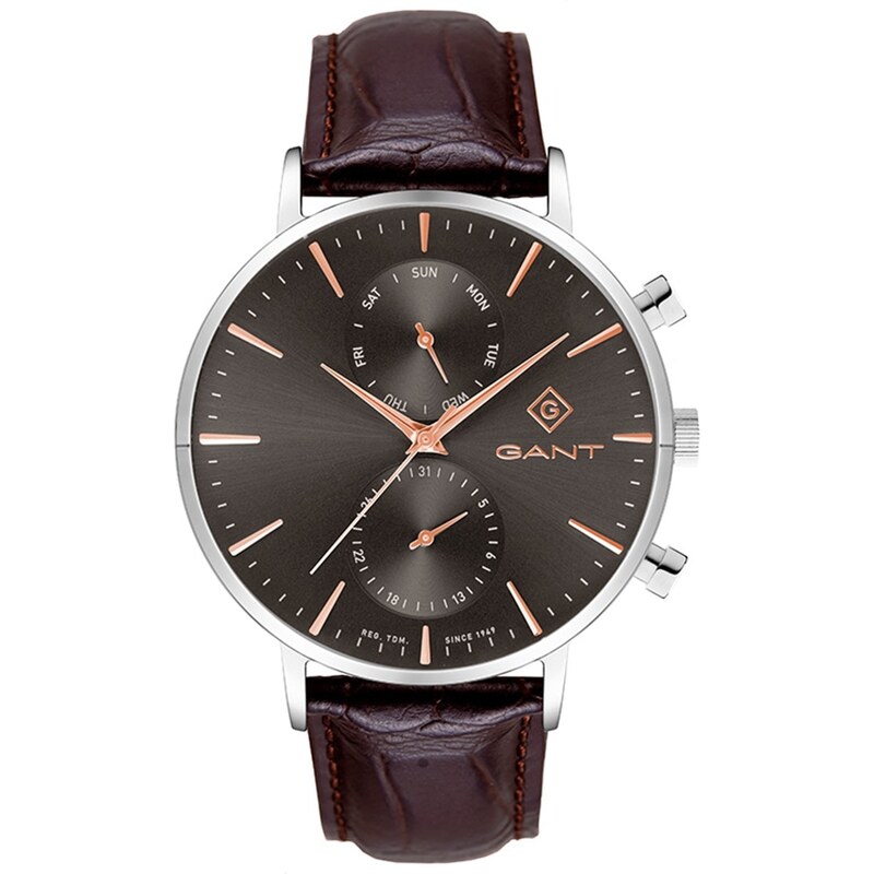 Hodinky Gant Silver 8788385