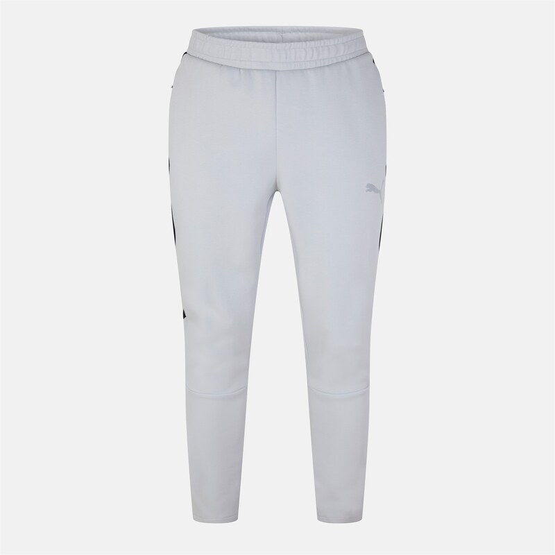 Tepláky Puma Cool Grey 3028534