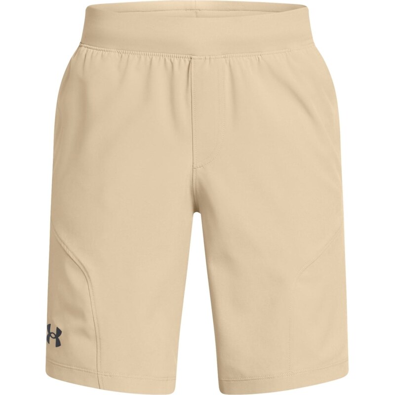 Kraťasy Under Armour Brown 9506138