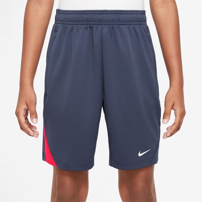 Kraťasy Nike Blue 6174591