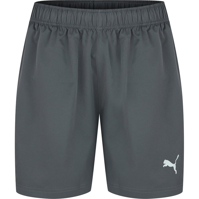 Kraťasy Puma Dark Grey 987110