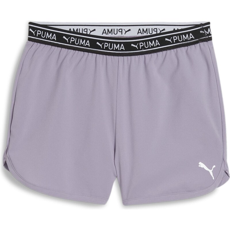 Kraťasy Puma Paleplum 9550830