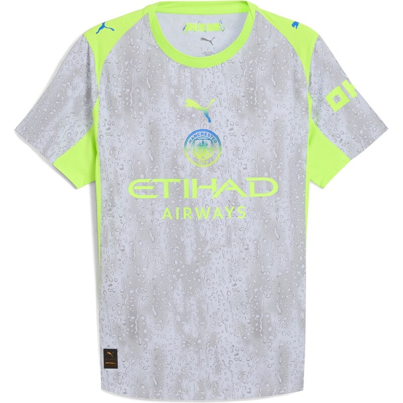 Manchester City Puma Grey 3814692