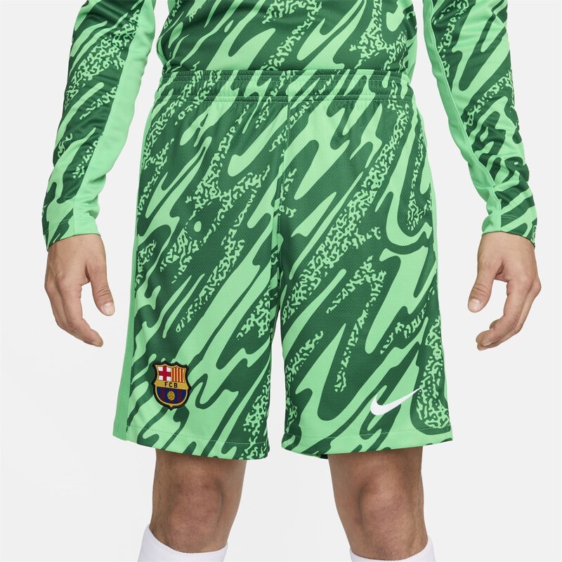 Kraťasy Nike Green 6326860