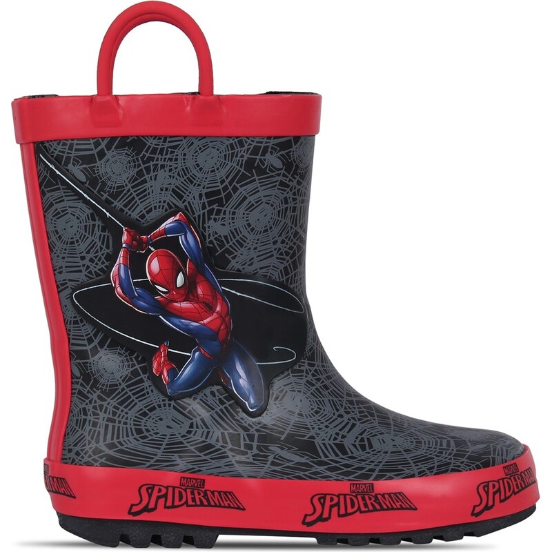 Character Spiderman 5619118