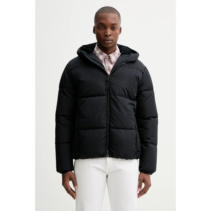 Hollister Co. Bunda Hollister Co.