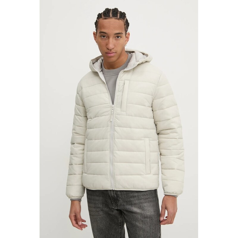 Hollister Co. Bunda Hollister Co.