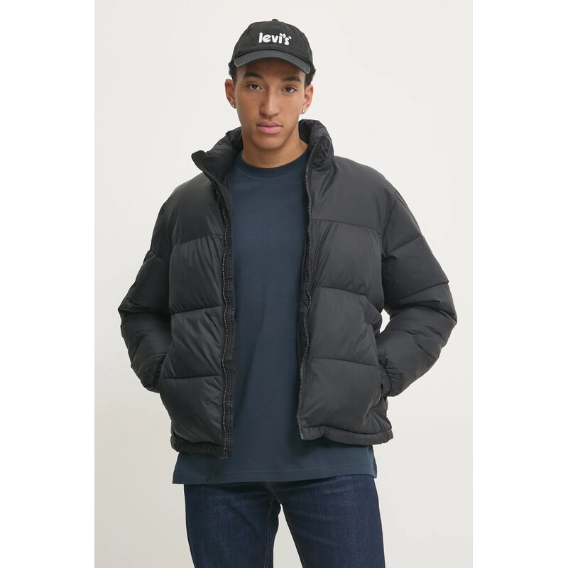 Hollister Co. Bunda Hollister Co.