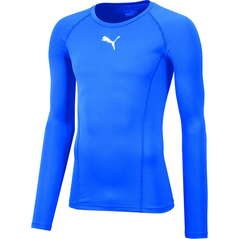 PUMA Pánské na trenínk tričko Tee Ls