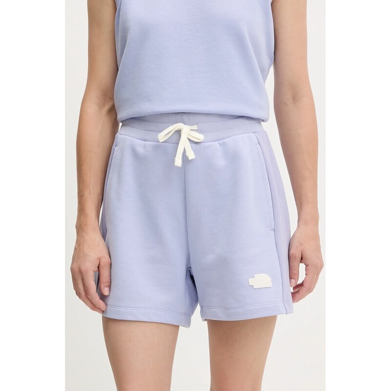 Kraťasy The North Face Terry Relaxed 106140433