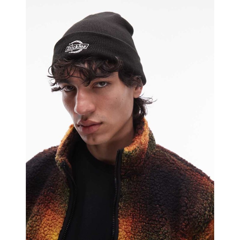 Dickies summerdale knitted beanie in black 109503041