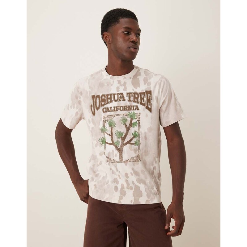 Abercrombie & Fitch western graphic t-shirt in grey