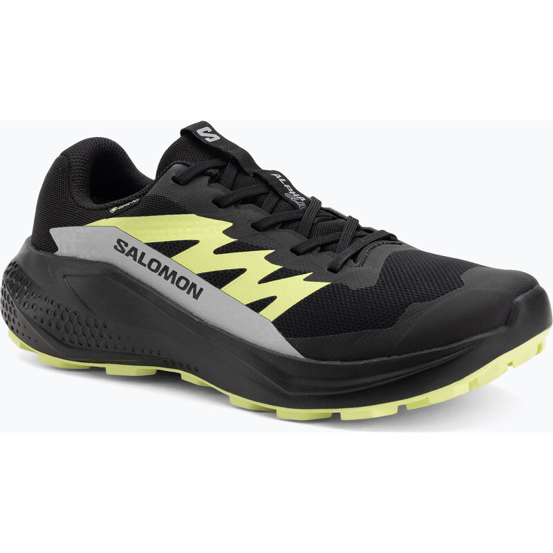 Pánské běžecké boty Salomon Alphaglide GTX black/alloy/sharp