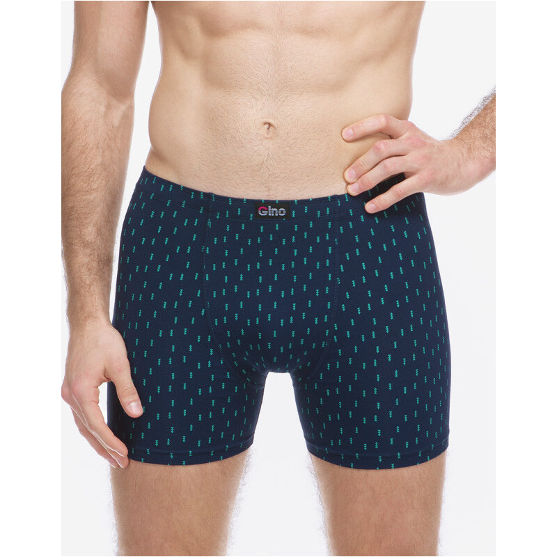 Pánské boxerky Gino vícebarevné (74181-DCMMMZ)