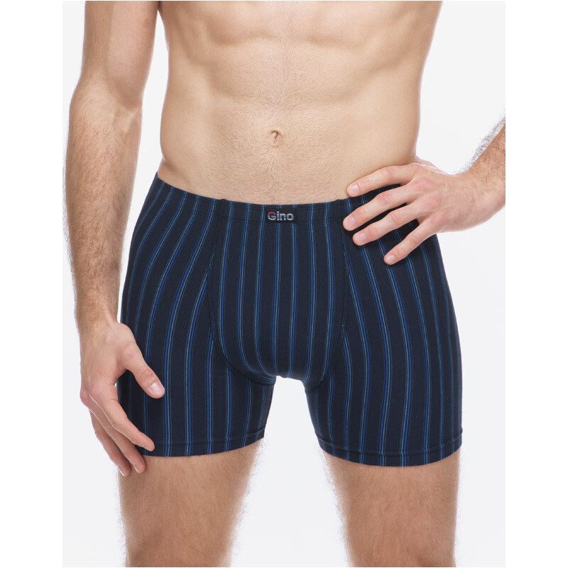 Pánské boxerky Gino vícebarevné (74178-DCMMBM)