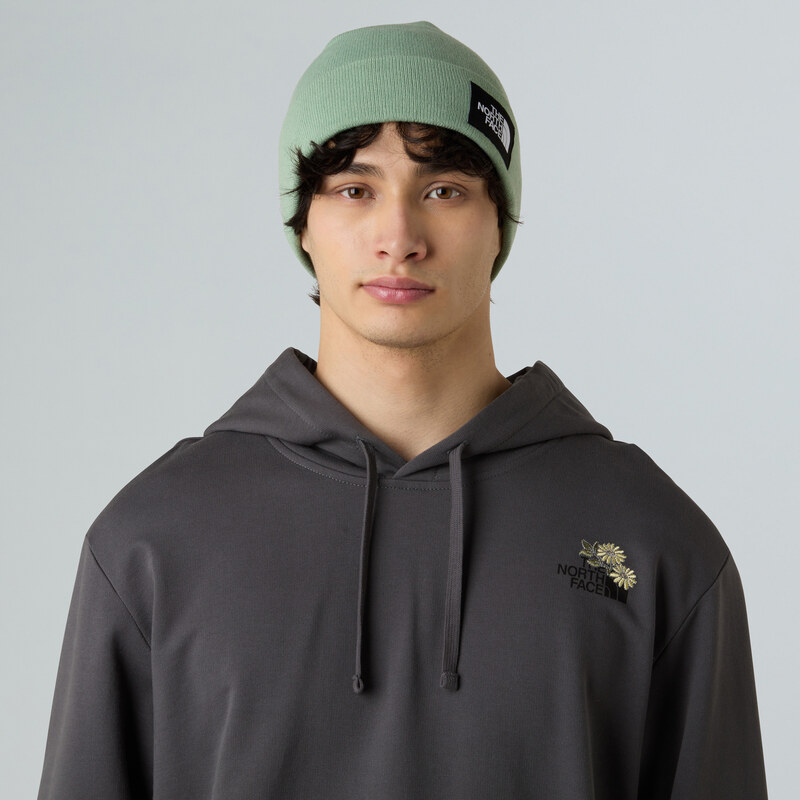 Pánské Zimní čepice THE NORTH FACE DOCK WORKER RECYCLED BEANIE NF0A3FNTBQ11 – Zelená