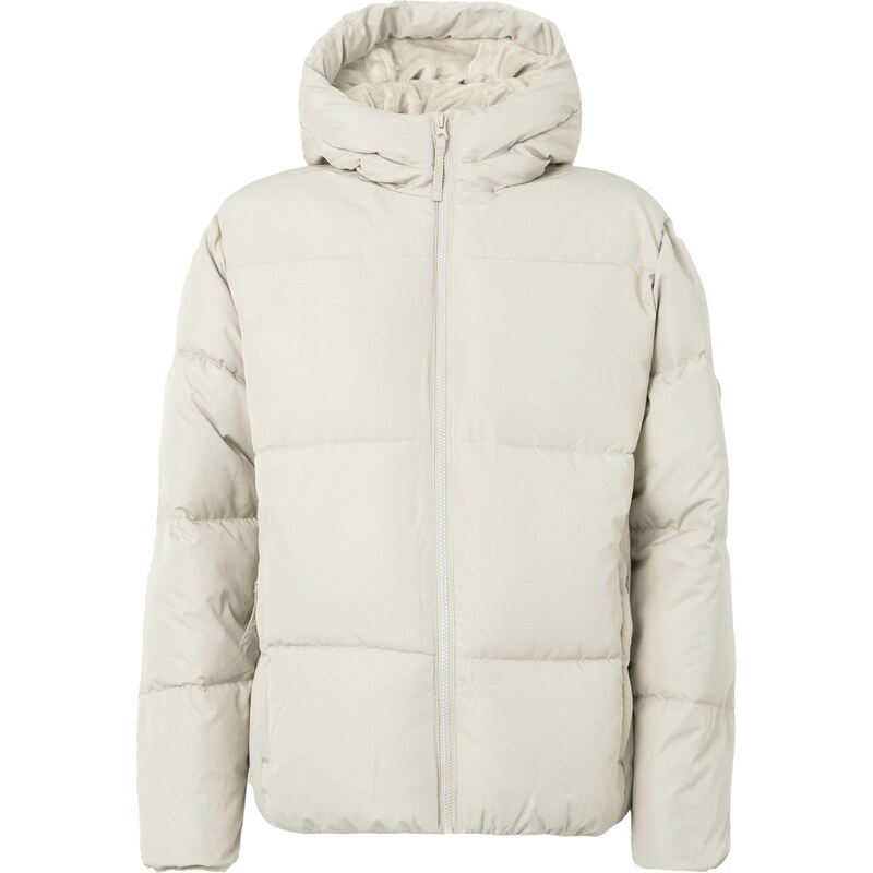 HOLLISTER Zimní bunda světle šedá