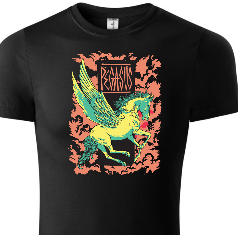Fenomeno Dětské tričko Pegasus