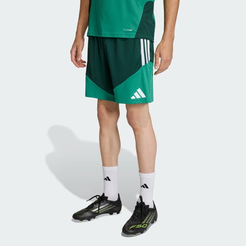 Adidas Tréninkové šortky Alžírsko 26