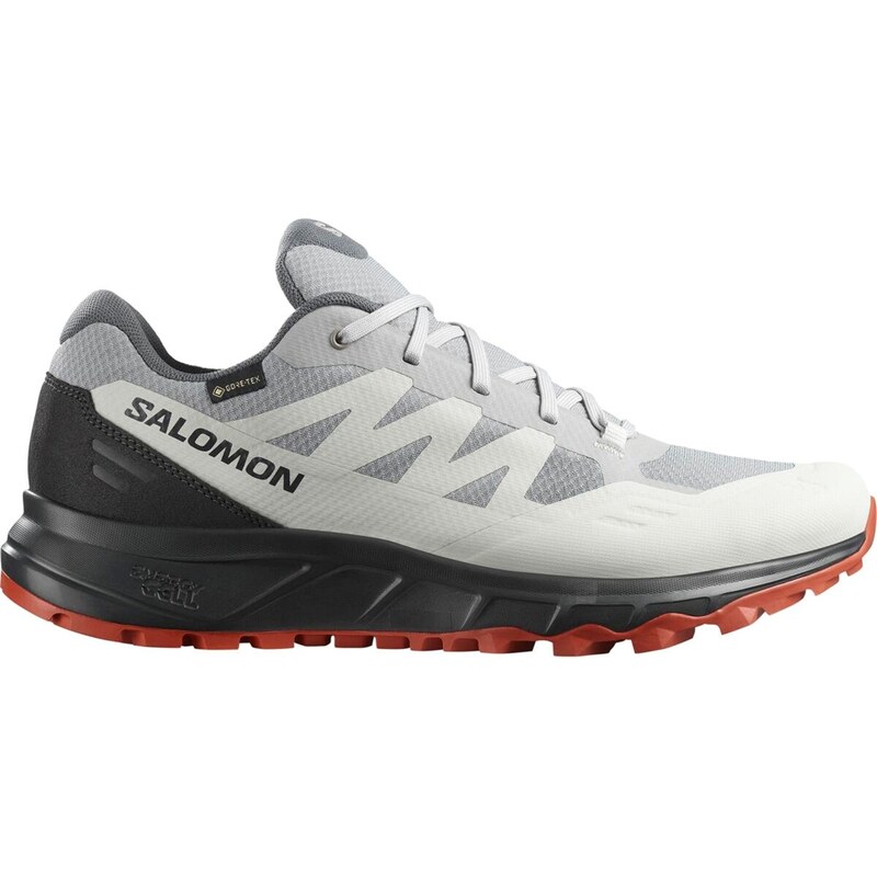 Boty Salomon Alloy 2151309