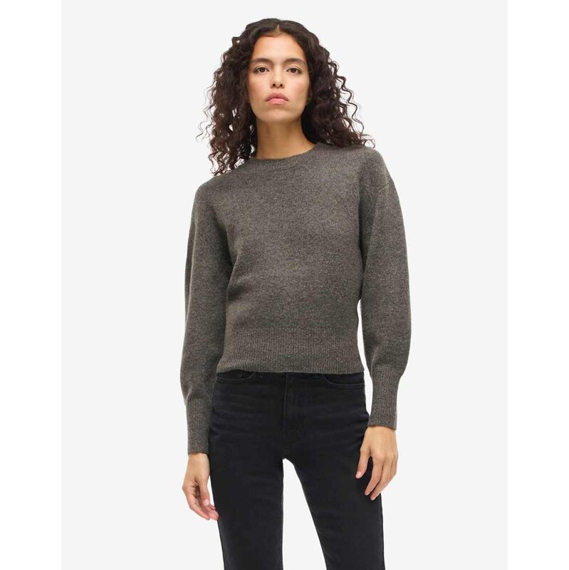 Noisy May Jumper in morel-Brown