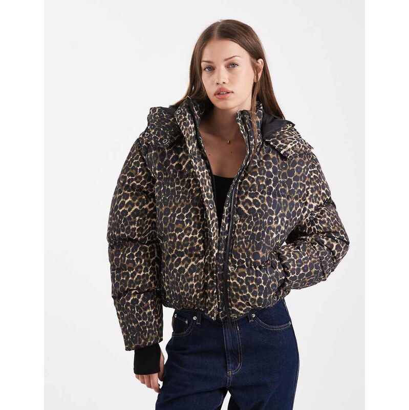 Brave Soul hooded puffer jacket in leopard print-Multi