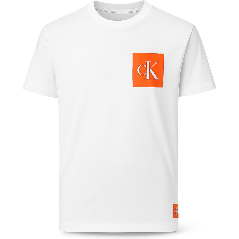 Calvin Klein Pánské Tričko Iconic S Logo bílé VELIKOST M