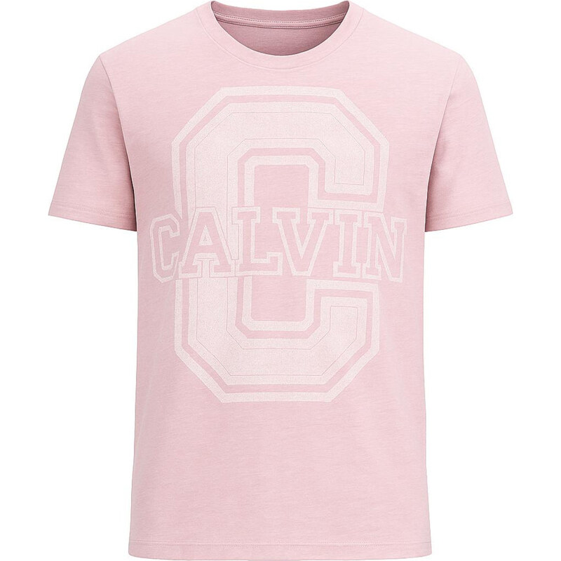 Calvin Klein Pánské Tričko s Krátkým Rukávem Key Mist Logo