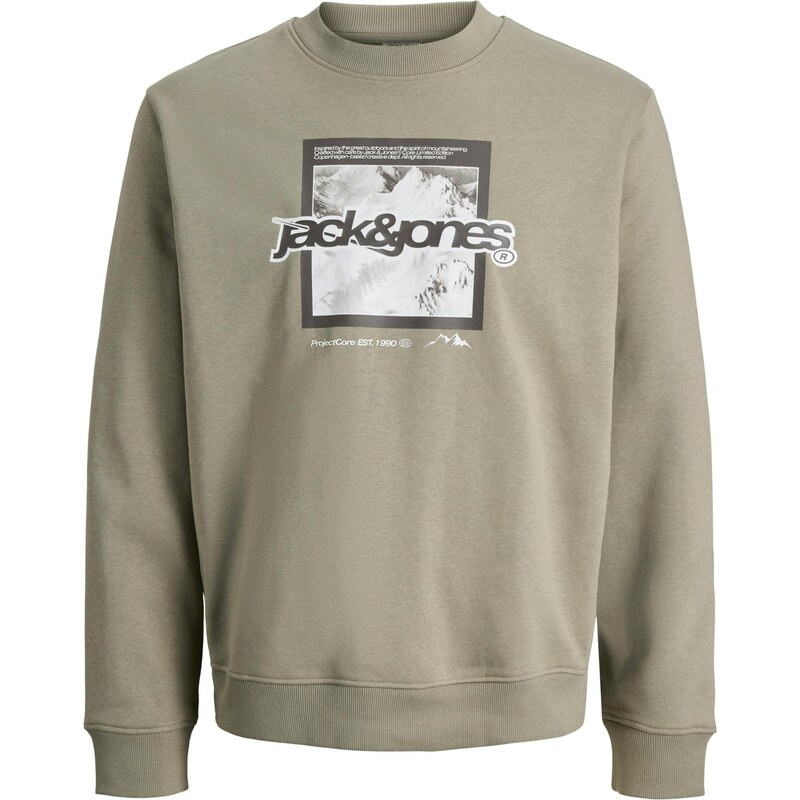 Jack & Jones Junior Mikina JCOFLARE šedá / bílá