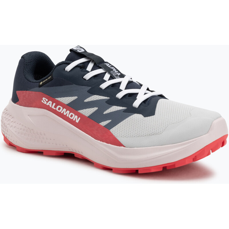Dámské běžecké boty Salomon Alphaglide GTX lunar rock/blue night