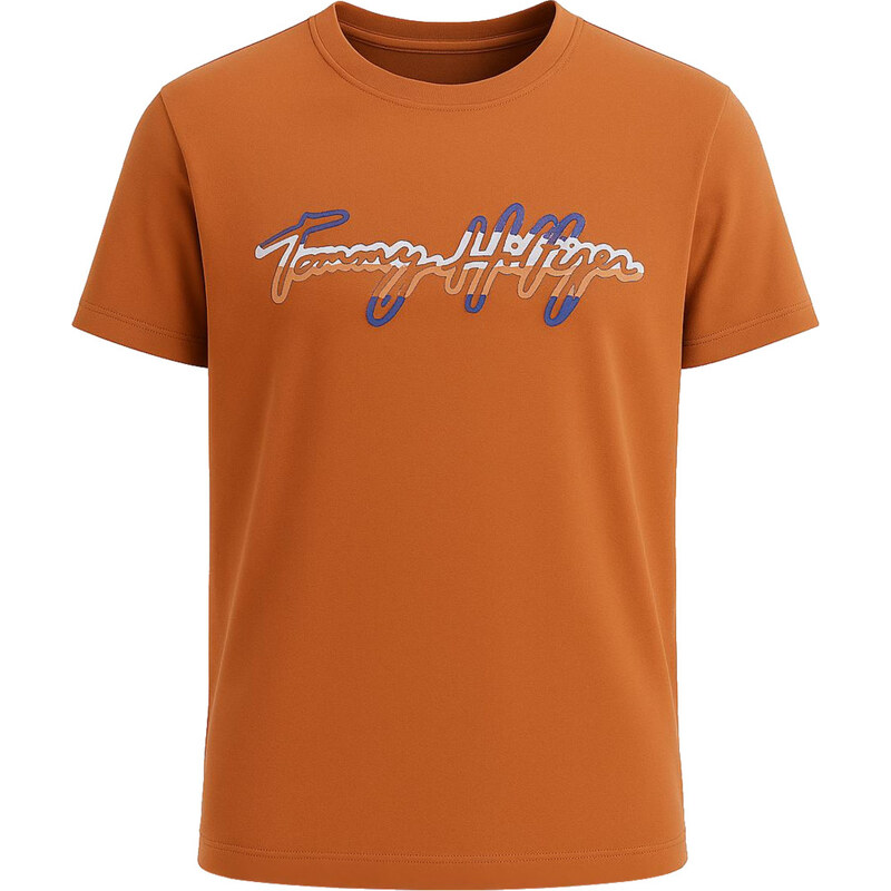 Tommy Hilfiger pánské tričko s krátkým rukávem Written Logo