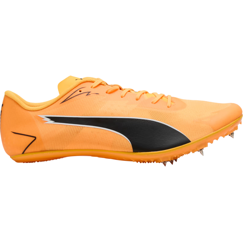 Puma Tretry evoSPEED Brush 7 unisex