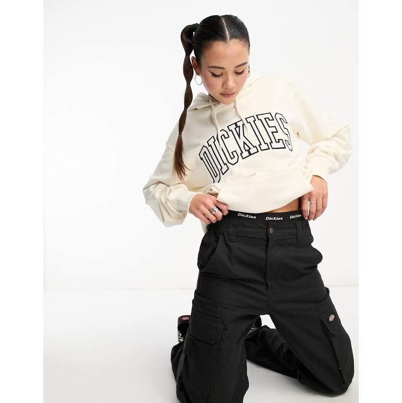 Dickies aitkin hoodie with embroidered varsity logo in white-Multi 111167937