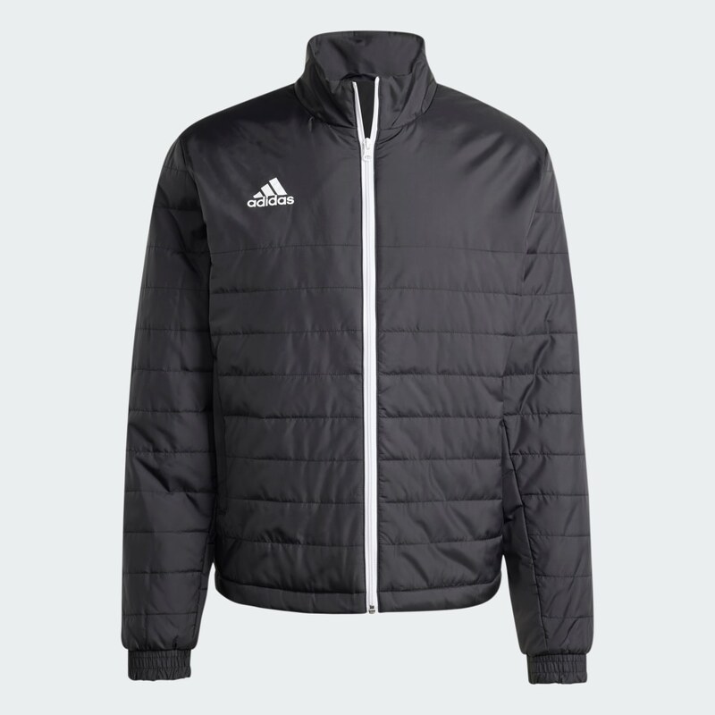 Adidas Bunda Entrada Light