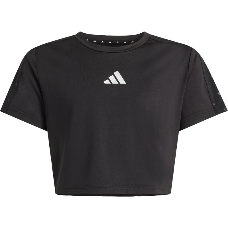 ADIDAS SPORTSWEAR Funkční tričko Train Essentials Seasonal černá
