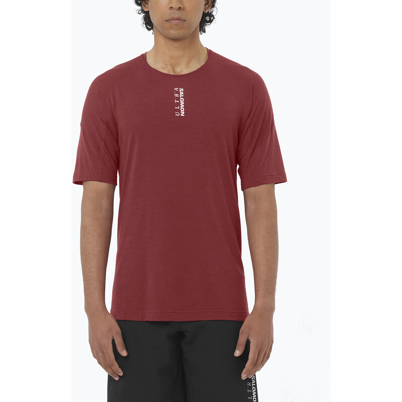Pánské běžecké tričko Salomon Ultra Tee syrah