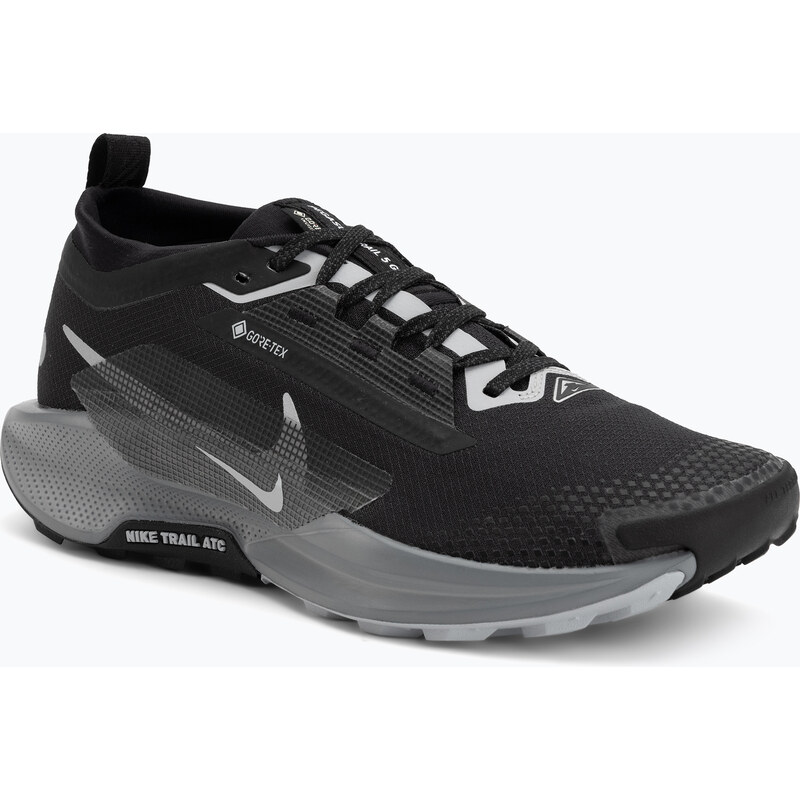 Pánské běžecké boty Nike Pegasus Trail 5 GORE-TEX black/cool