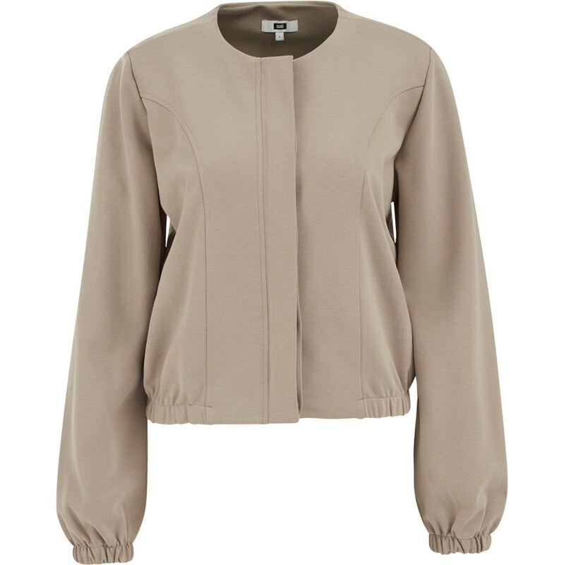 WE Fashion Přechodná bunda světle šedá
