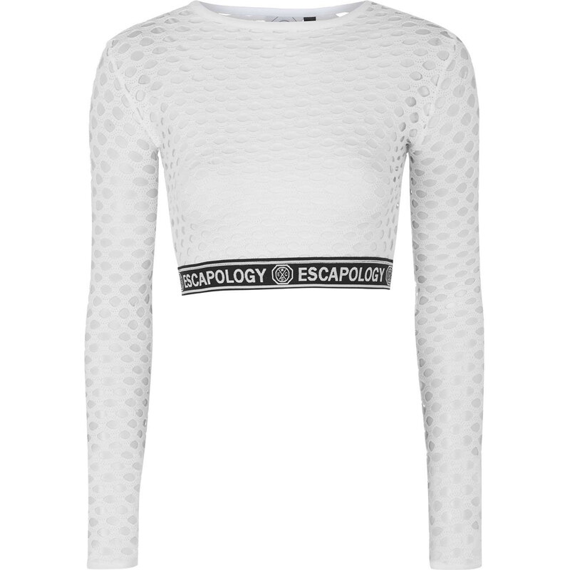 Topshop Mesh Long Sleeved Crop Top by Escapology
