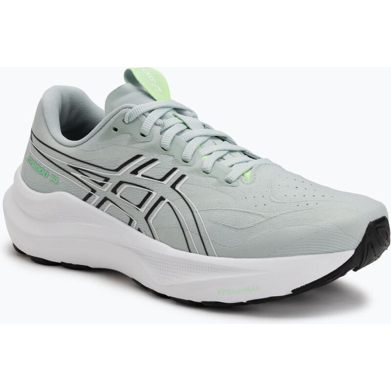 Pánské běžecké boty Asics GT-2000 14 Cold Moss/Black