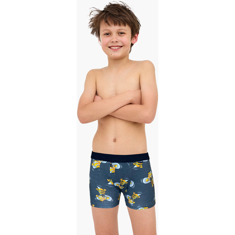 BOXERKY PRO model 21897435 700 W/26 - Cornette