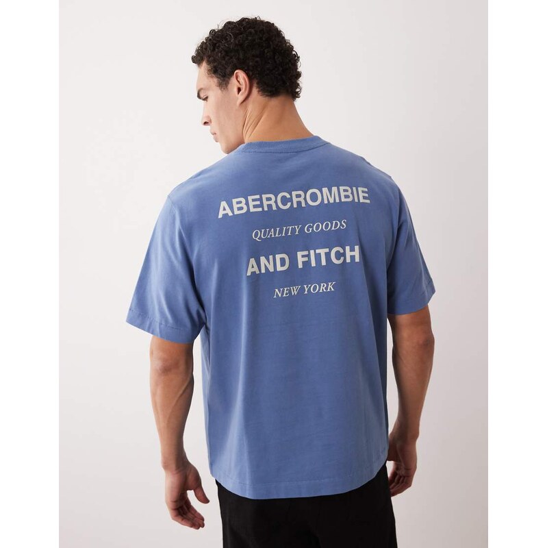 Abercrombie & Fitch back logo premium heavyweight t-shirt in blue 112778572