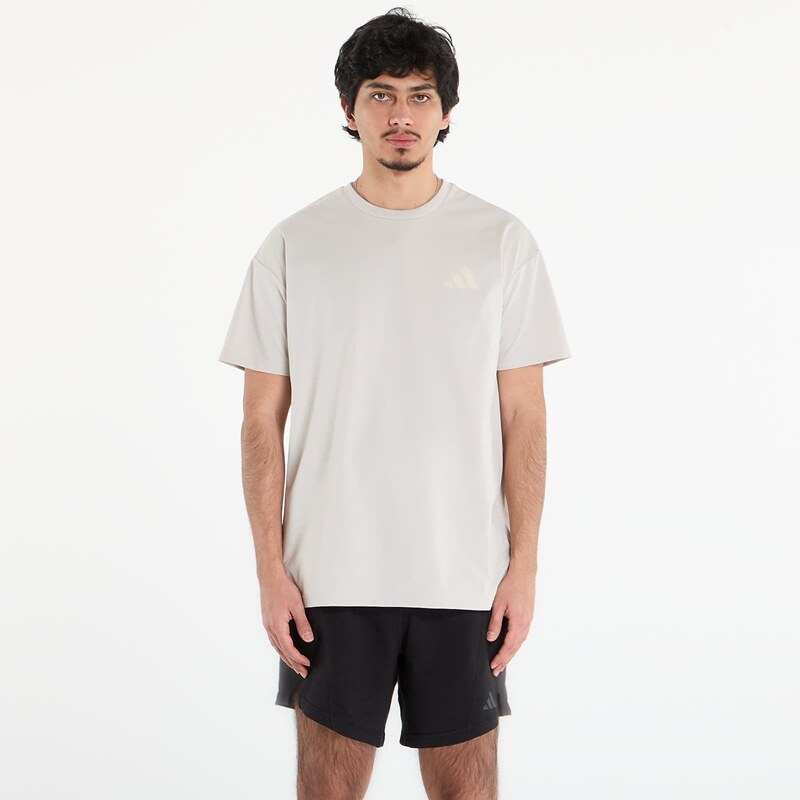 adidas Performance Tričko adidas Terrex Xploric Climacool Graphic T-Shirt Wonder Alumina S