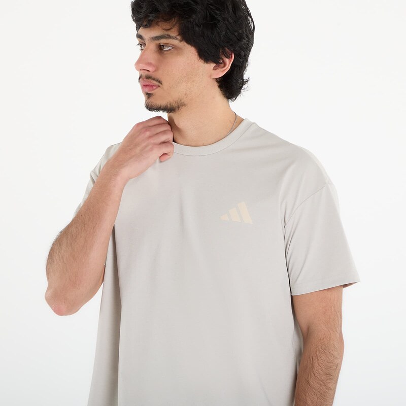 adidas Performance Tričko adidas Terrex Xploric Climacool Graphic T-Shirt Wonder Alumina S