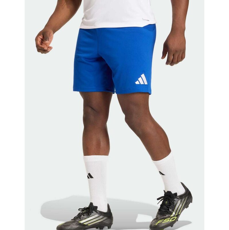 adidas performance Entrada26 shorts in royal blue / white