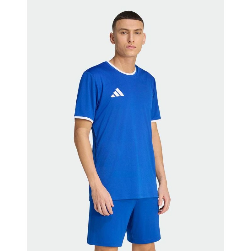 adidas performance Entrada26 jersey in royal blue / white