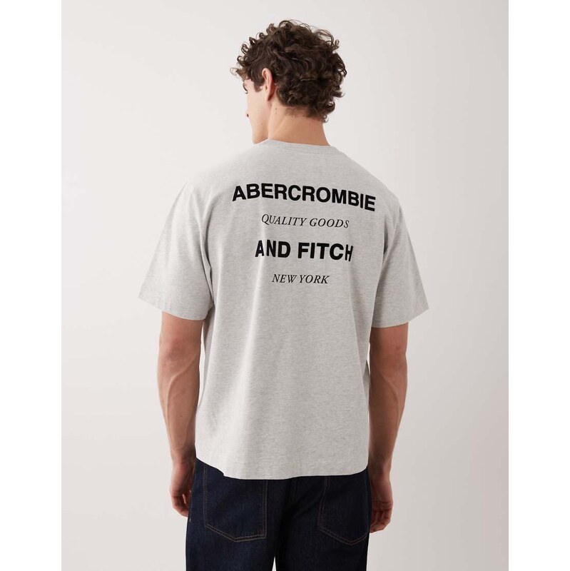 Abercrombie & Fitch back logo premium heavyweight t-shirt in grey 112846784