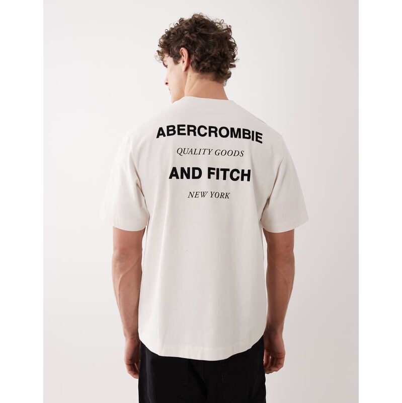 Abercrombie & Fitch back logo premium heavyweight t-shirt in white 112846787