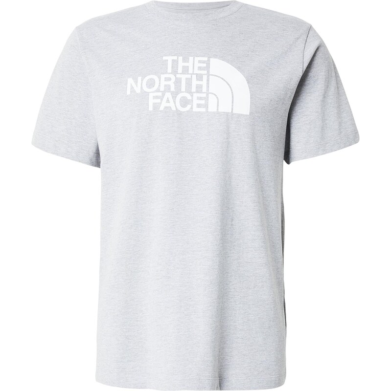 THE NORTH FACE Tričko EVOLUTION HALF DOME šedá / bílá