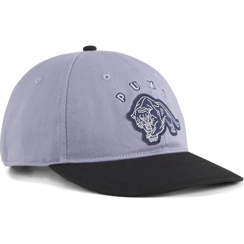 PUMA Vintage Low Curve Cap